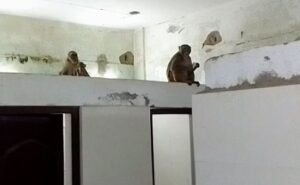 IMG-20260106-WA0113