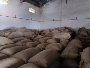 IMG-20260228-WA0021