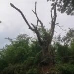 IMG-20260620-WA0143