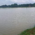 IMG-20260730-WA0042
