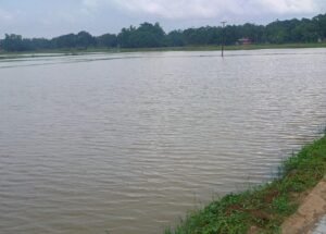 IMG-20260730-WA0042