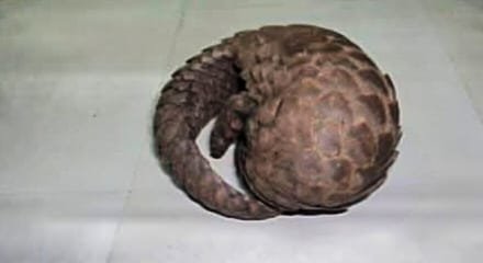 IMG-20260907-WA0066